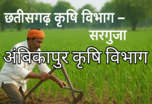 Chhattisgarh. surguja Me Krishi (Agriculture) | Importance, Techniques aur Future Direction krisi
